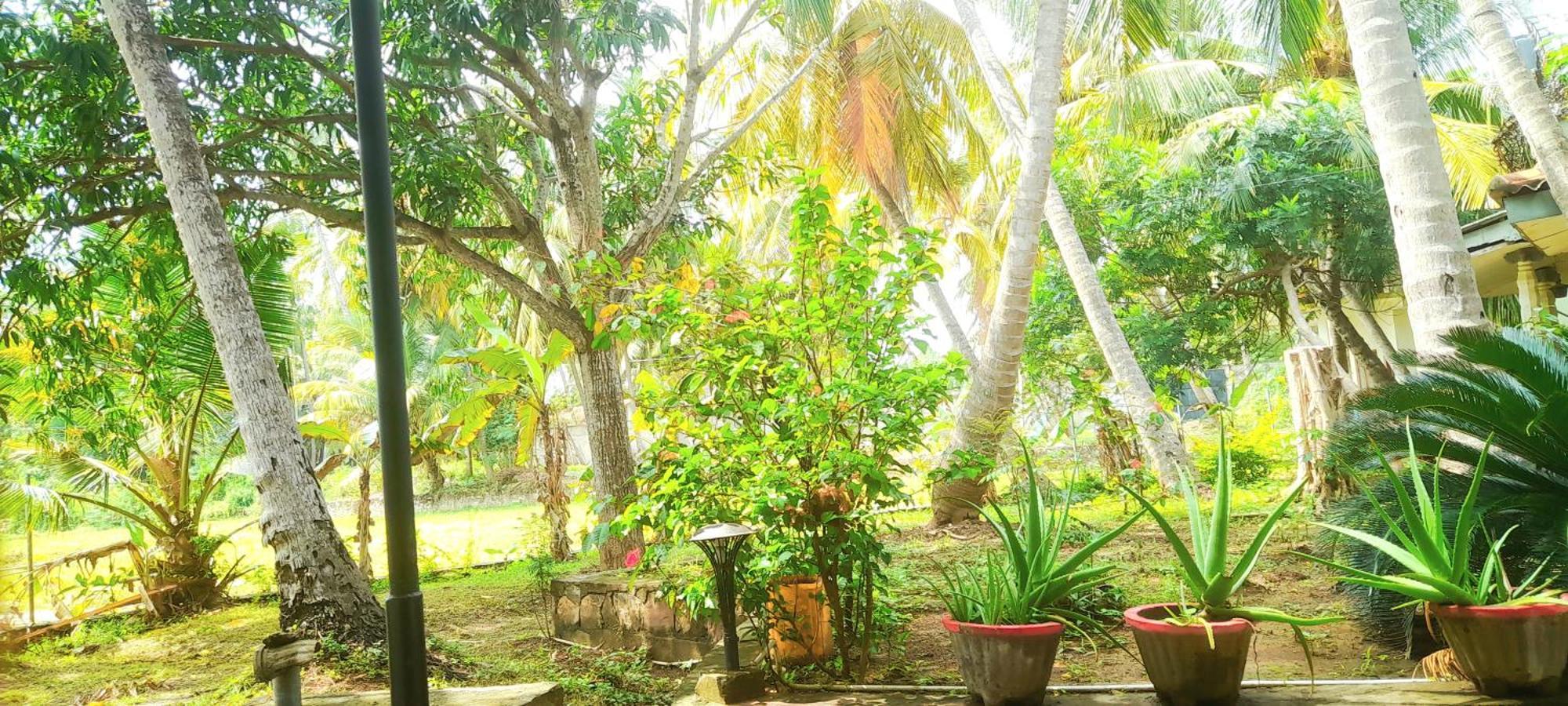 Traveller'S Home Hotel Тіссамахарама Номер фото